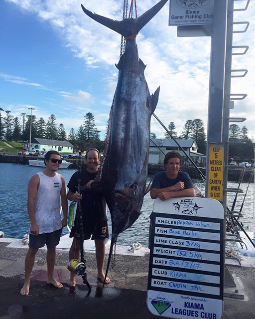 ANGLER: Andrew Wilson  SPECIES: Blue Marlin WEIGHT:  132.5kg LURE: JB Lures Big Donger.